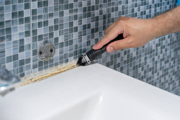 Best Mold Removal Company Near Me  in Fort Deposit, AL