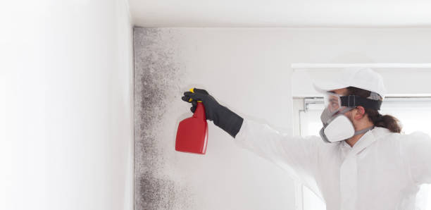 Best Professional Mold Removal  in Fort Deposit, AL