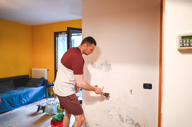 Best Best Mold Removal Companies  in Fort Deposit, AL