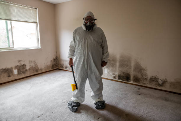 Attic Mold Removal in Fort Deposit, AL