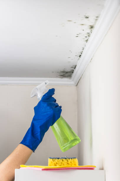 Best Emergency Mold Removal  in Fort Deposit, AL