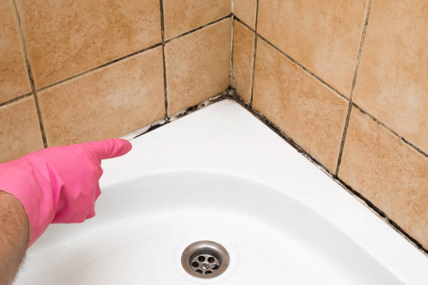Best Commercial Mold Removal  in Fort Deposit, AL